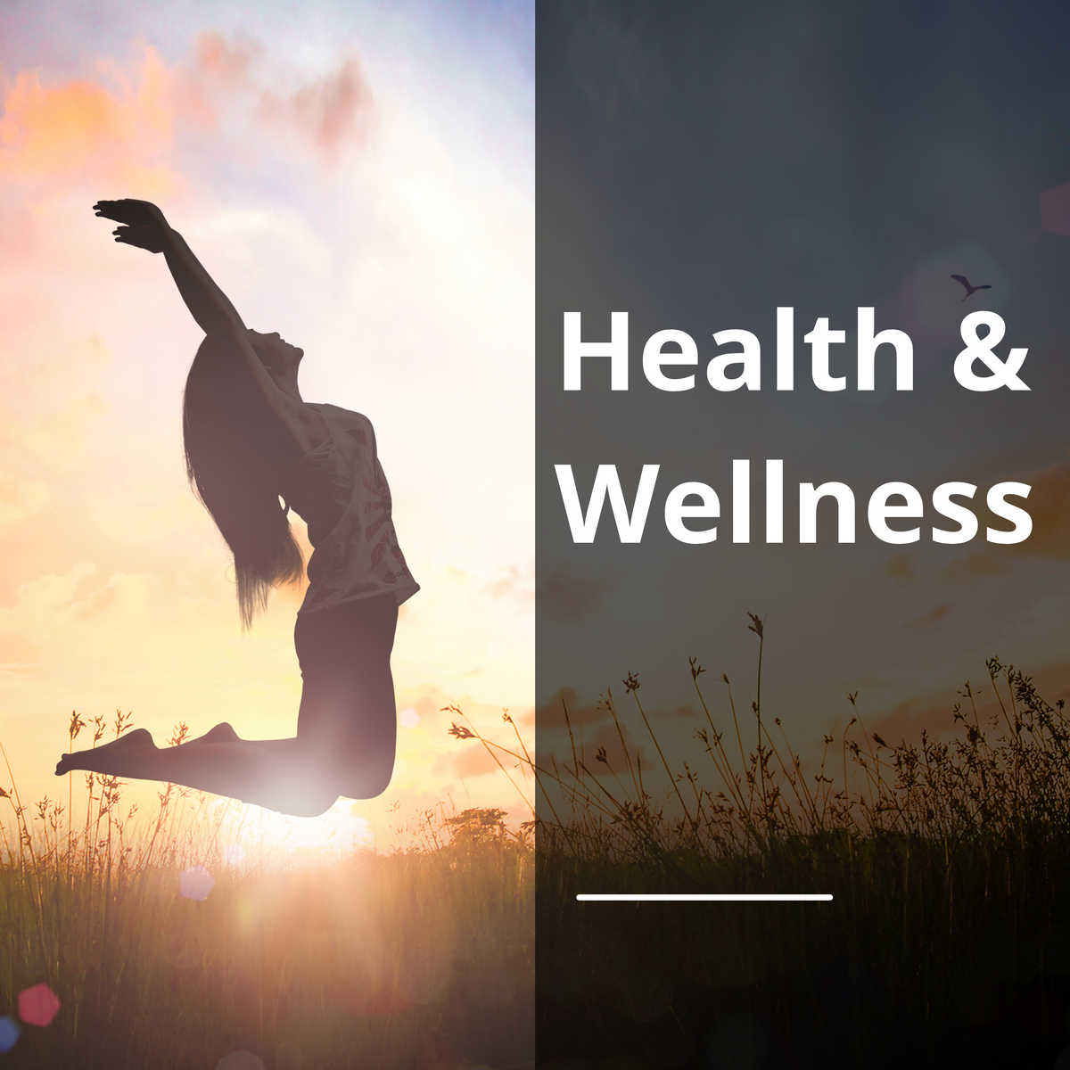 Health & Wellness Collection – Alpha Omega Vitality