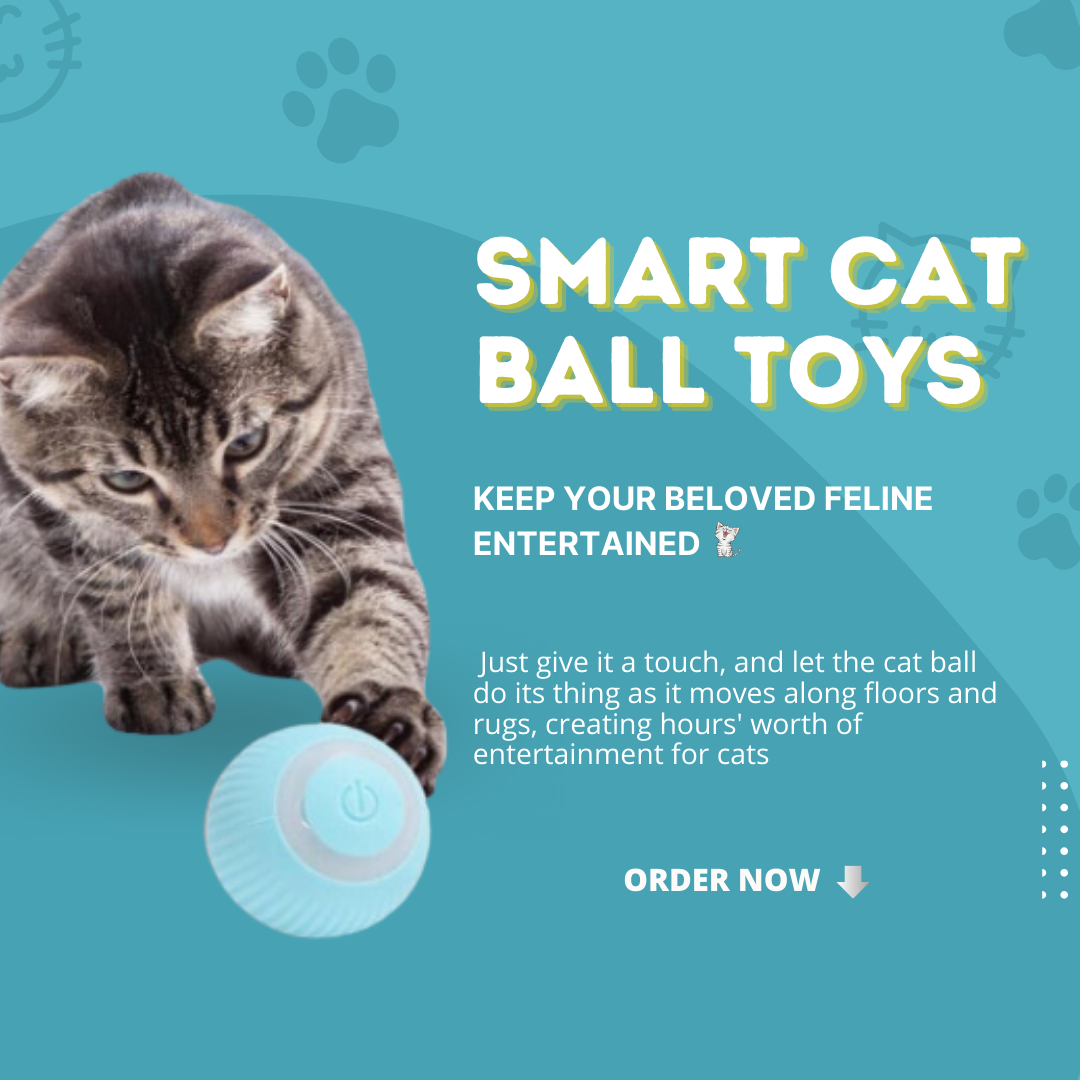 Smart Cat Ball Toys