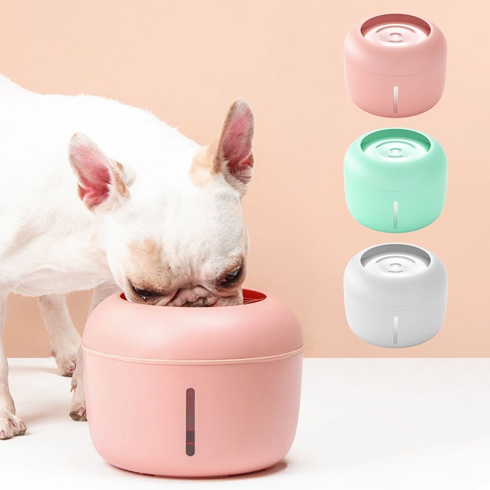 Adjustable Pet Drinking Bowl - Alpha Omega Vitality