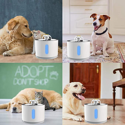 Pet Drinking Electric Dispenser Bowls